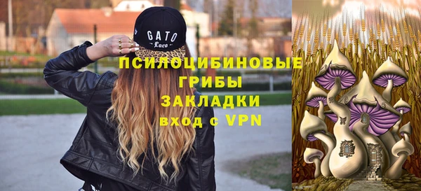 бутират Пересвет