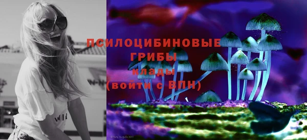 сатива Осташков