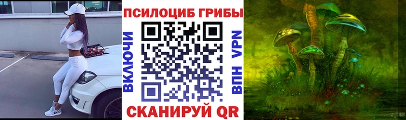 купить наркоту  Фролово  Галлюциногенные грибы мицелий 