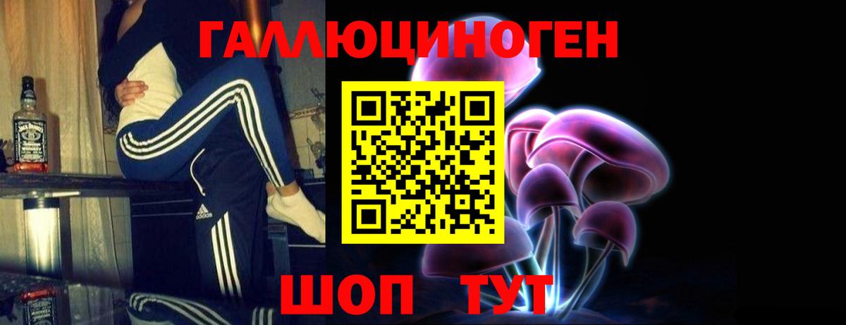 Псилоцибиновые грибы Psilocybine cubensis Фролово