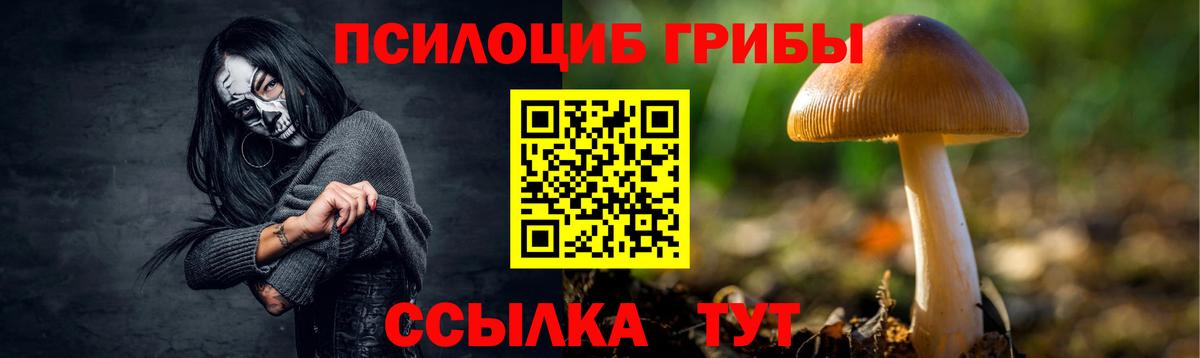 Псилоцибиновые грибы MAGIC MUSHROOMS Фролово